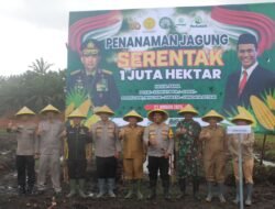 Penanaman 1 Hektar Jagung, Mapolres Gandeng Pemkab