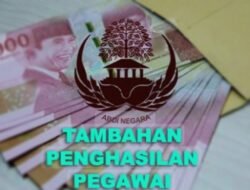 Masih Menunggu Pemerintah Provinsi, Penyaluran TTP ASN Bengkulu Tengah Abu Abu!!
