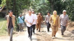Bupati Tinjau Jalan